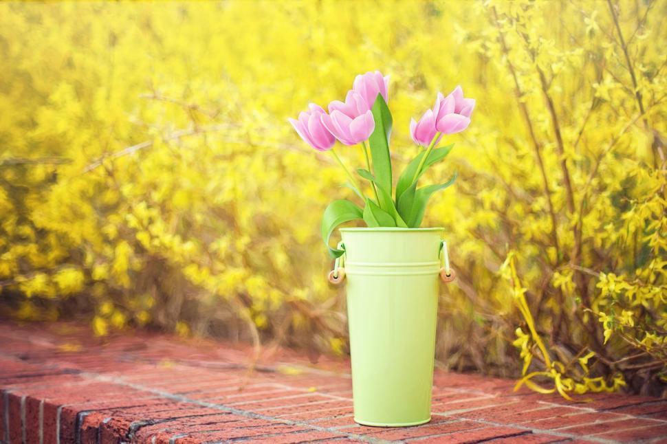 Free Image of Pink Flowers in vase with yellow flowers in the background 