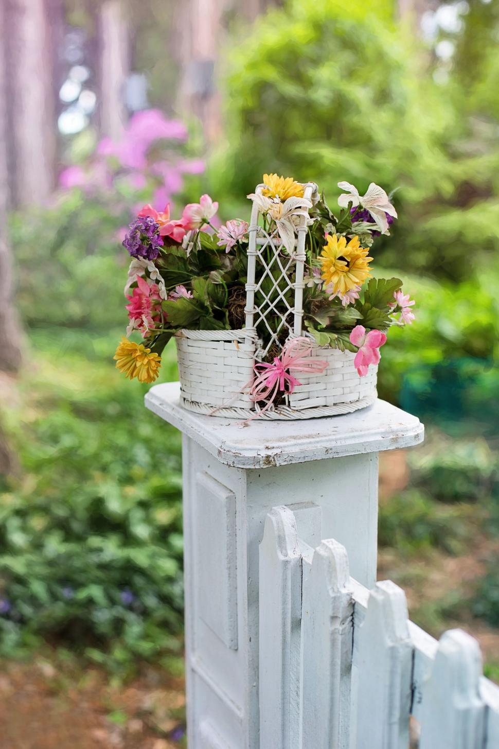 Free Image of Flower Basket in Garden 