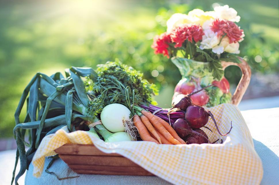 Free Image of Assorted Vegetables and Flower Vase 