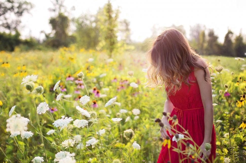 Free Image of Young Girl in Flower Field  