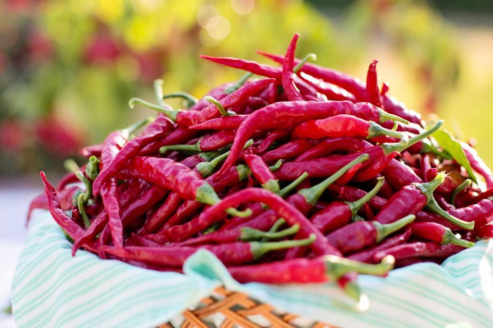 Free Image of Chili red peppers 