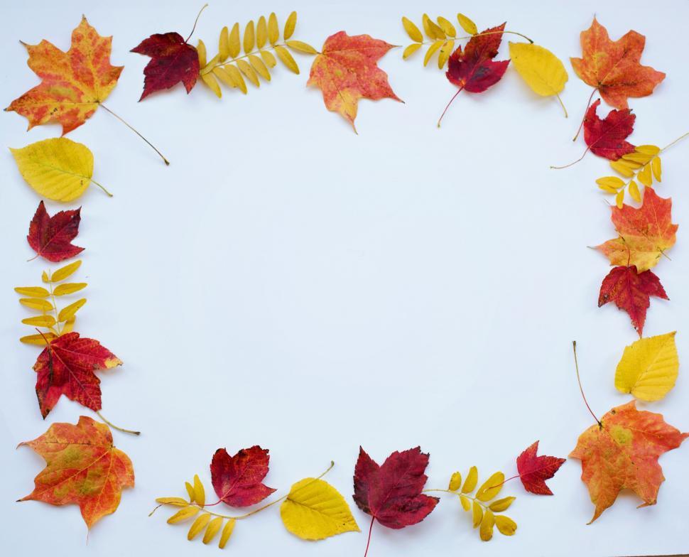 Free Image of Autumn Leaves - Frame  