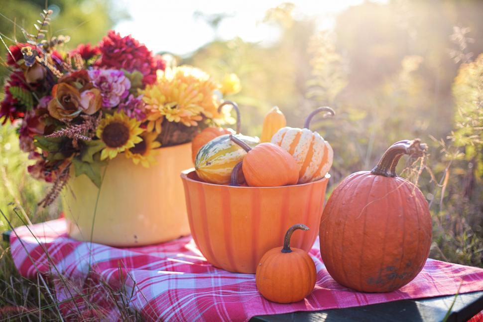 Free Image of Pumpkins and Gourds in Bucket with Flowers 