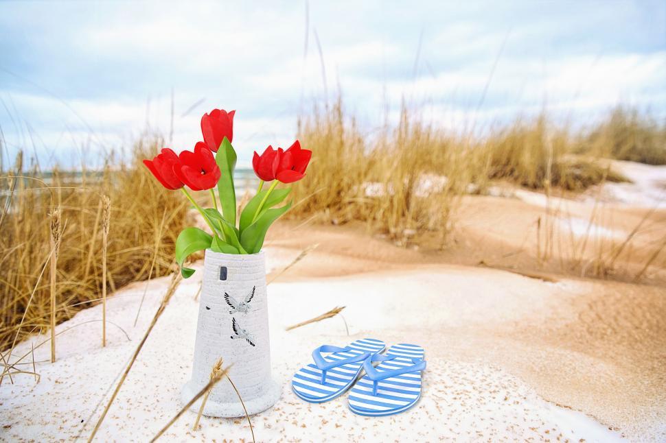 Free Image of Red Tulips and Flip-Flops 