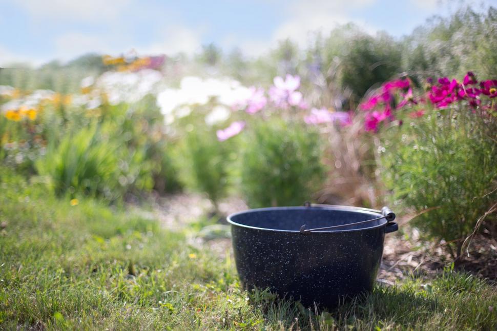 Free Image of Washtub in the meadow 