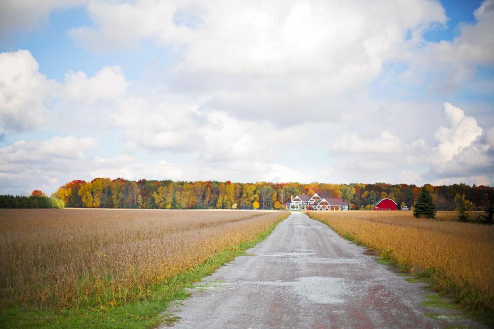Free Image of Countryside Road 