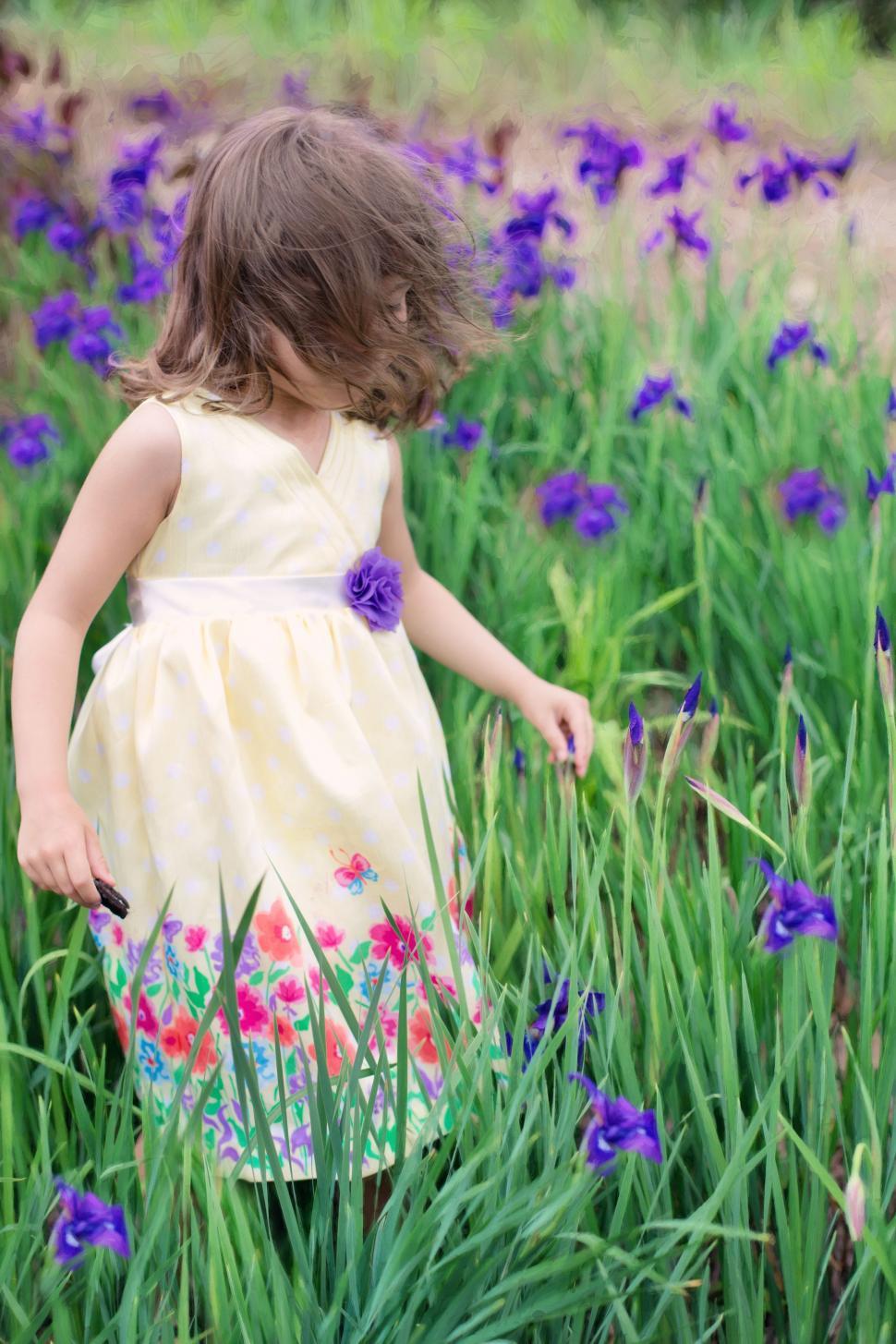 Free Image of Little Girl in Flower Field  