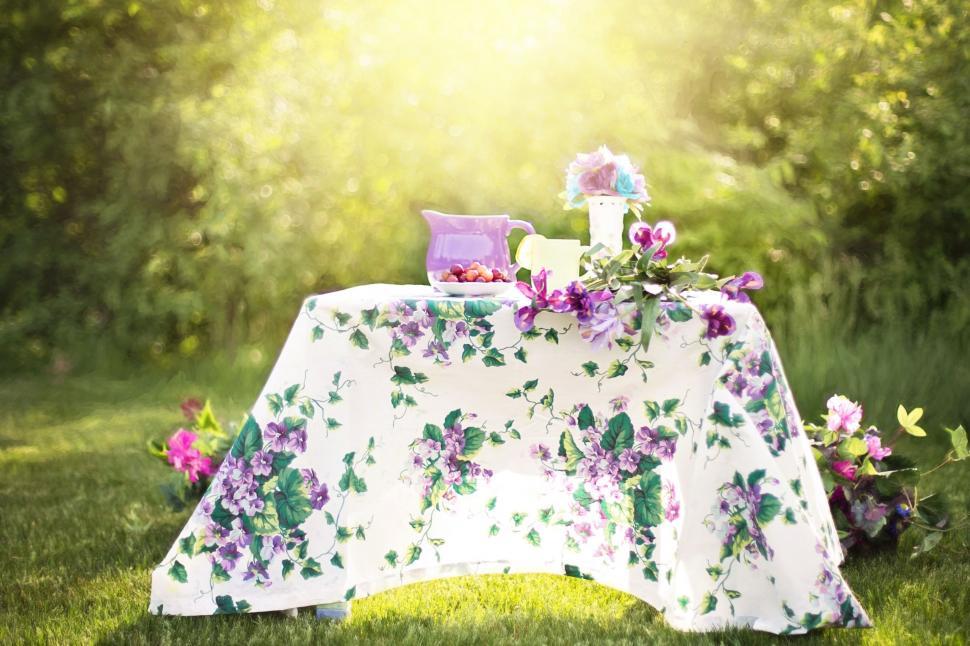 Free Image of Fruits and Flowers on Table in the meadow  