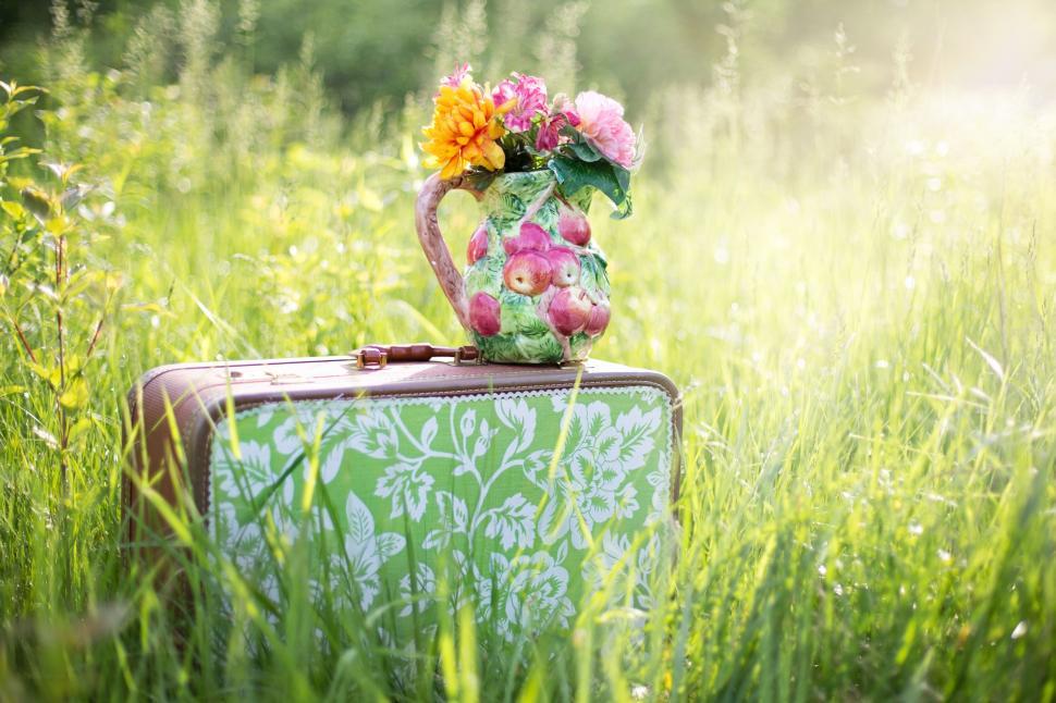 Free Image of Suitcase and pitcher of flowers in meadow 