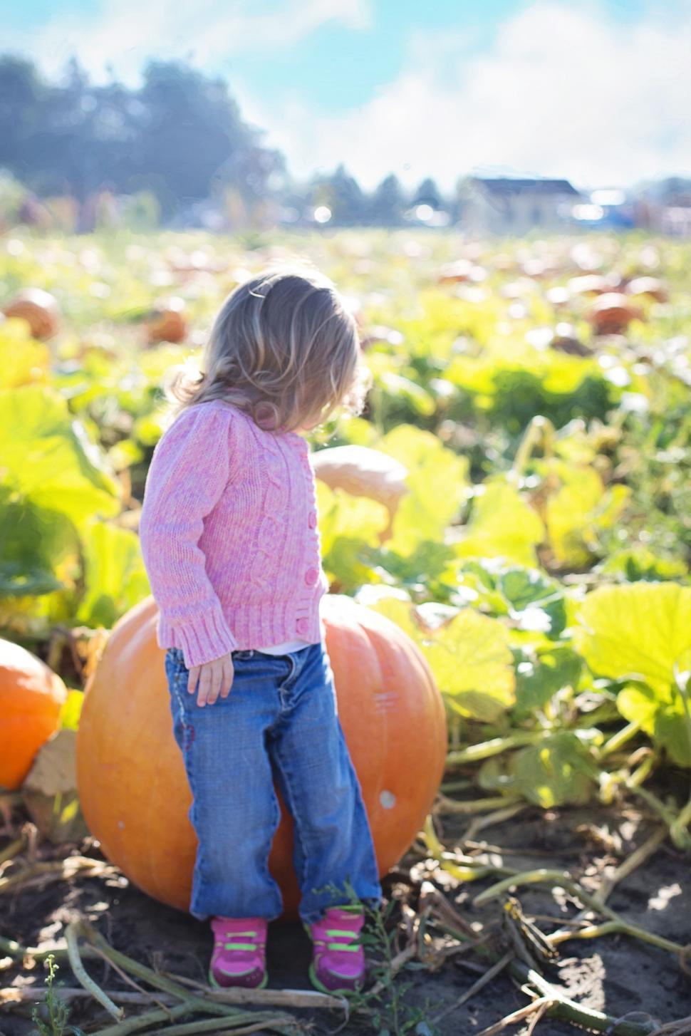 Free Image of Little Child with Orange Pumpkin 