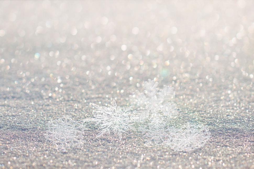 Free Image of Snowflakes and snow surface 