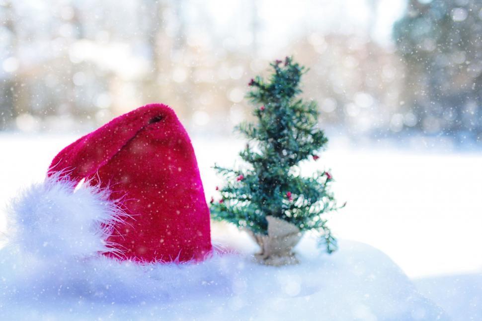 Free Image of Santa Hat and Tree in Snow 