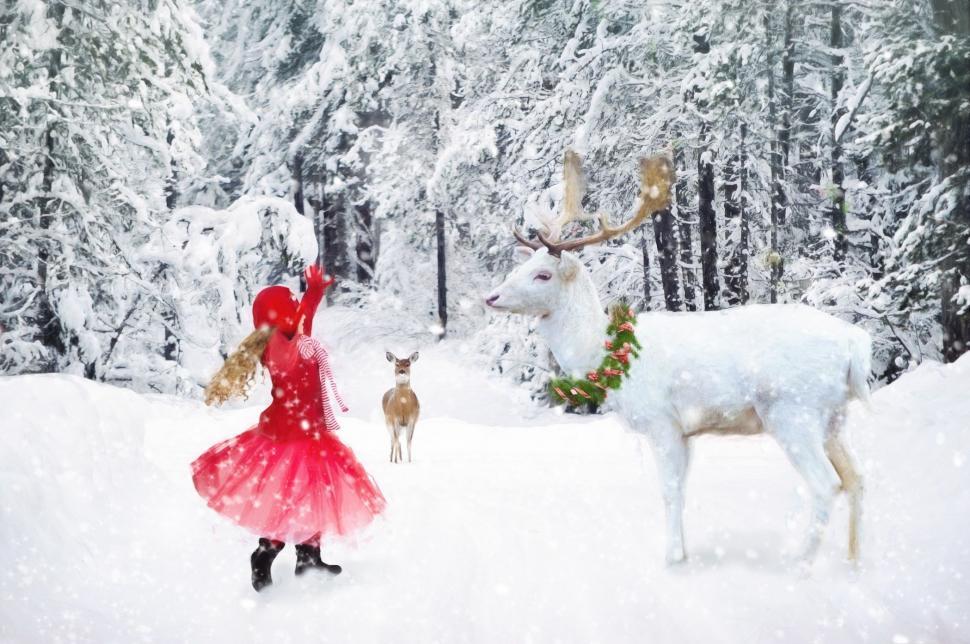 Free Image of Little Girl in Red Dress and White Deer in Snow  