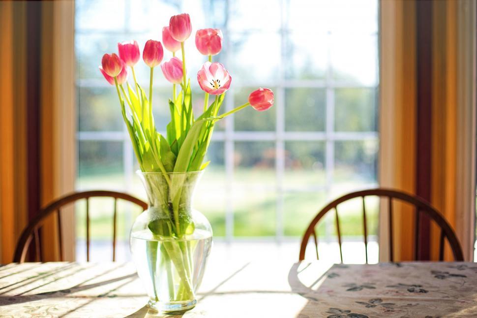 Free Image of Tulip Flowers in glass pot 