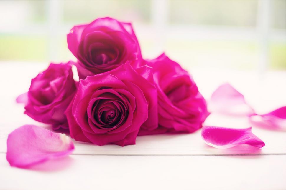 Free Image of Rose flower bouquet 
