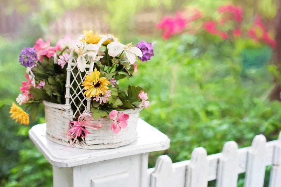 Free Image of Flower Basket 