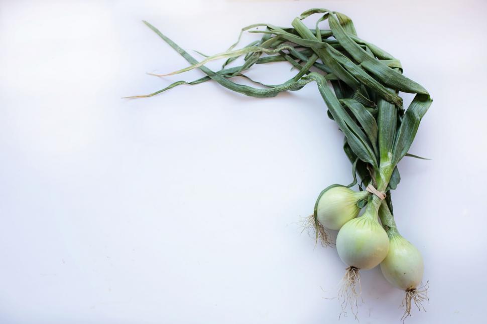 Free Image of Green Onions - Copy Space 