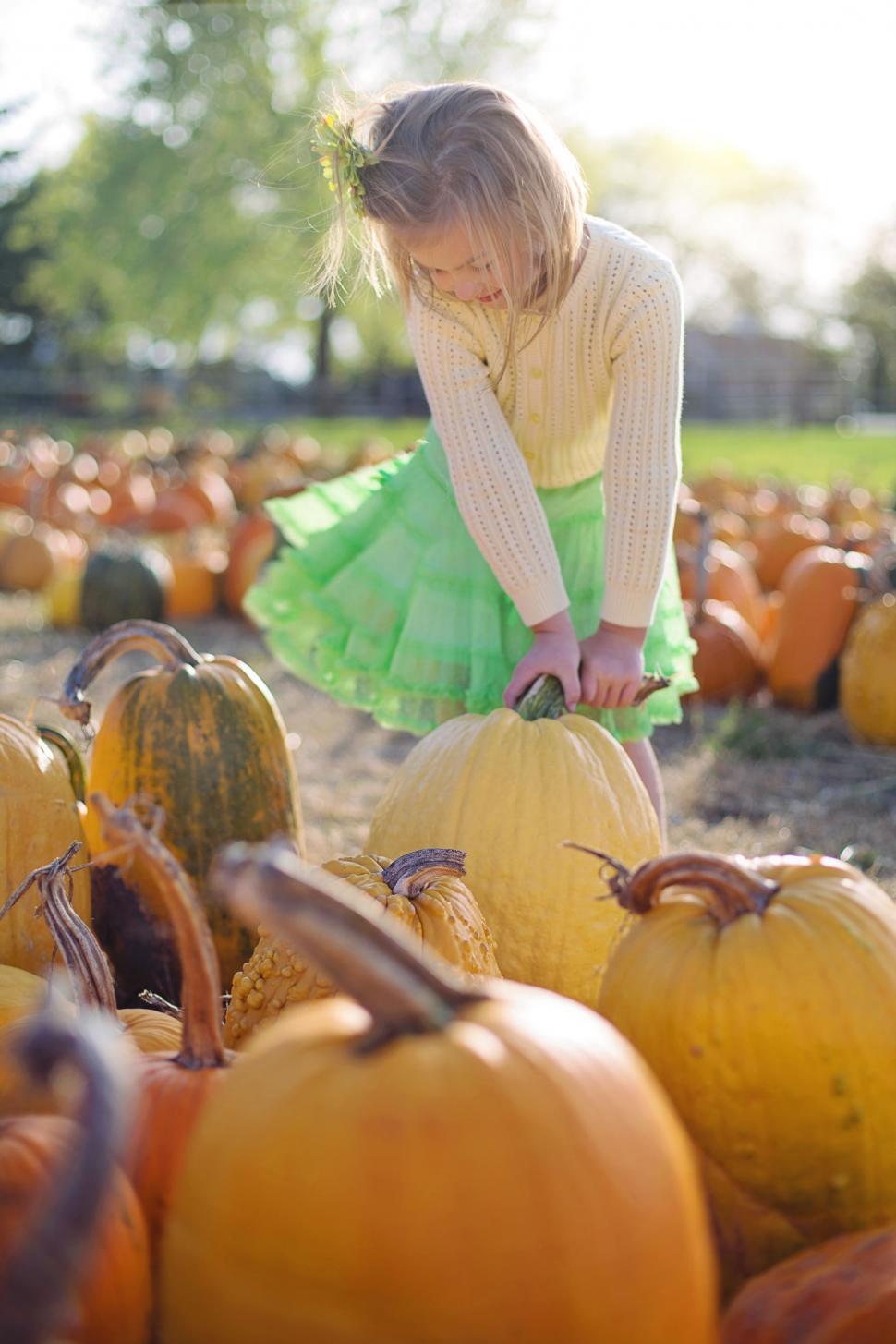 Free Image of Little Girl and Pumpkins  