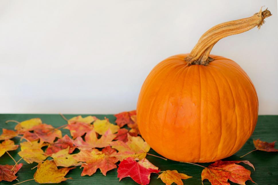 Free Image of Pumpkin and Autumn Leaves  