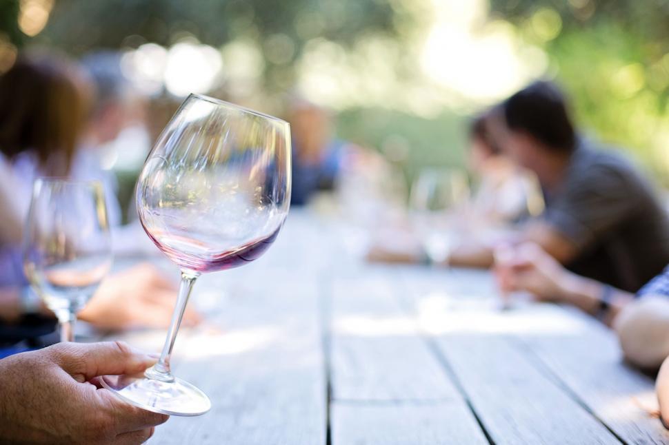 Free Image of Wine Glass - Wine Tasting 