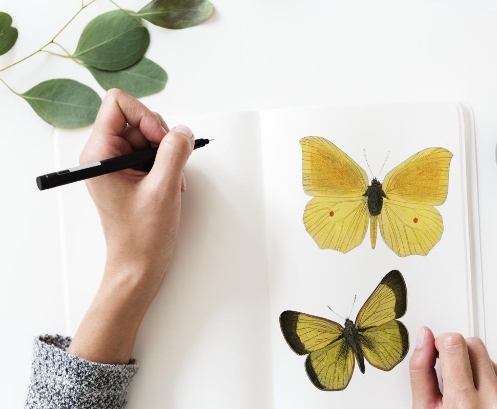 Free Image of Overhead view of a hand writing on notebook with butterflies 