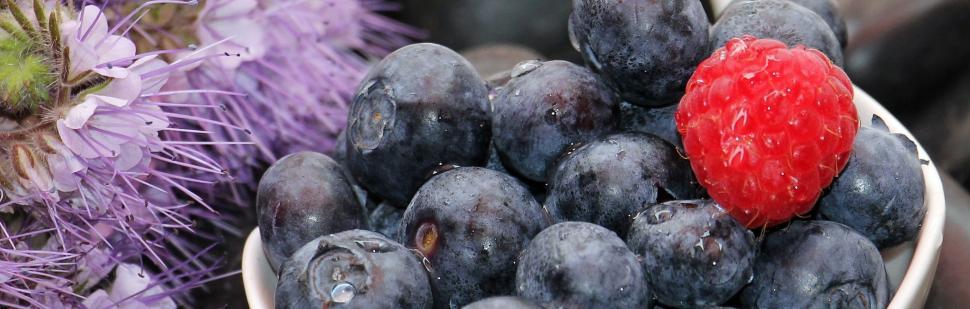 Free Image of Blueberries and Single Raspberry 
