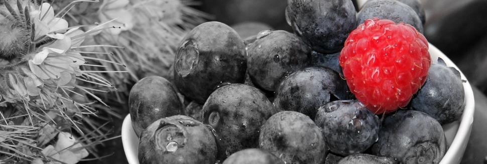 Free Image of Blueberries and Raspberry 
