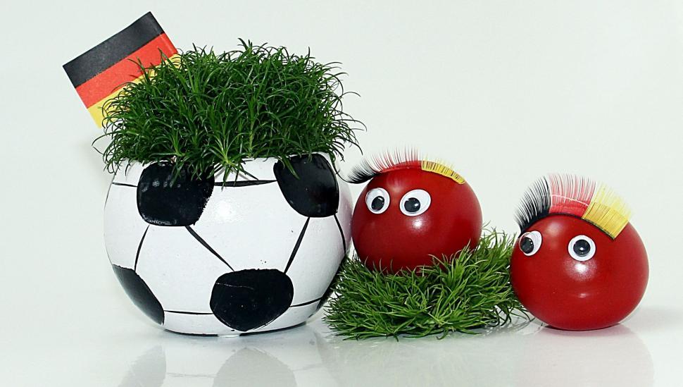 Free Image of Football plant and tomatoes with googly eyes 