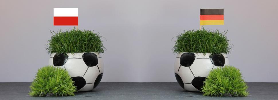Free Image of Two Football Shaped Pot and Green Leaves 