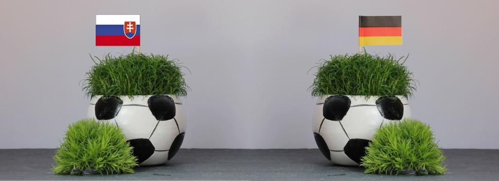 Free Image of Two Football Shaped Pot with Grass 