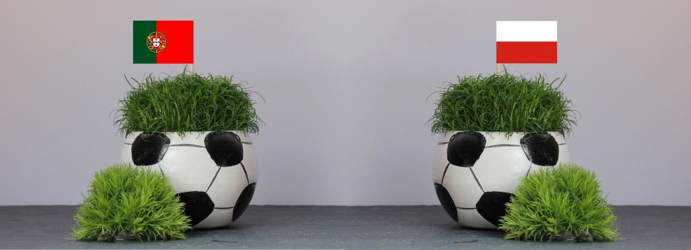 Free Image of Football Shaped Potted Plants with Green Leaves 