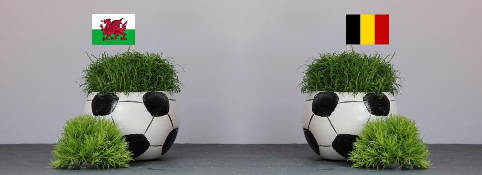 Free Image of Football Shaped Potted Plants and Green Leaves 