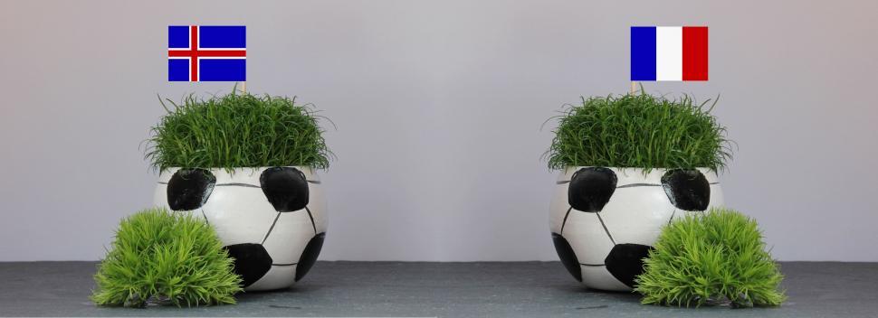 Free Image of Two Football Shaped Potted Plant with Green Leaves 