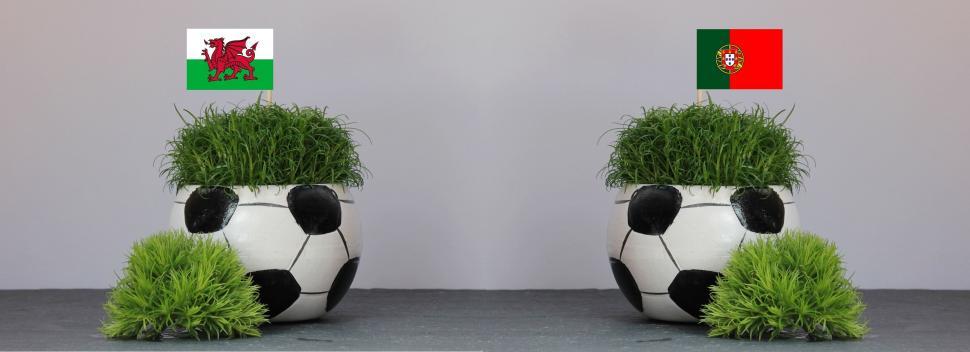 Free Image of Two Football Shaped Flower Pots with Green Grass 