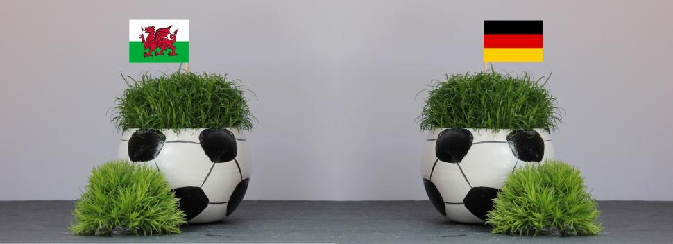Free Image of Two Football Shaped Flower Pot with Green Grass 
