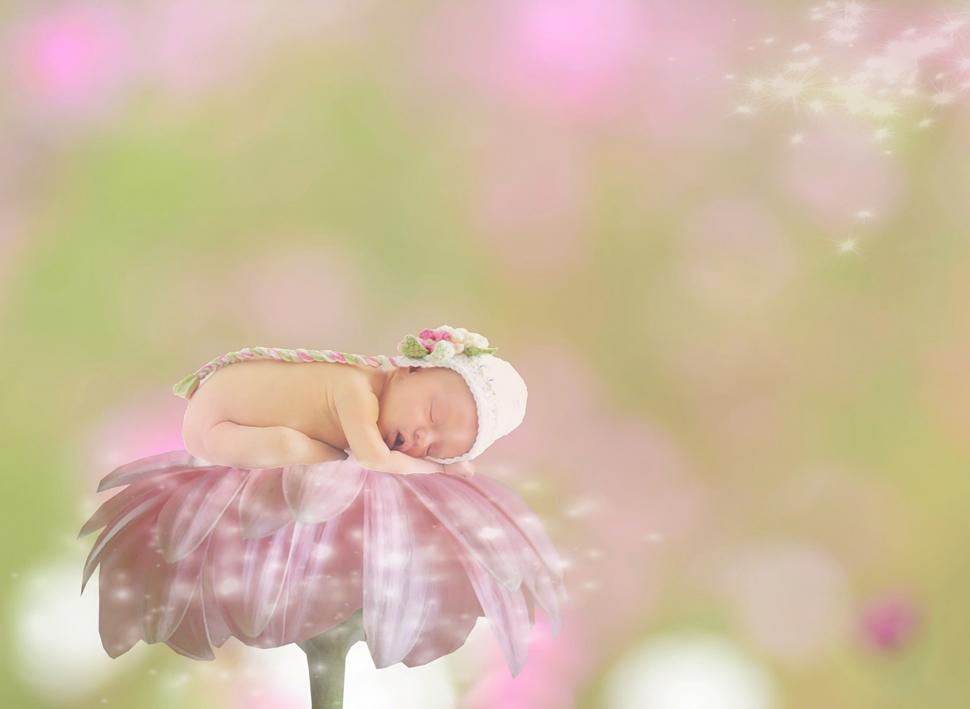Free Image of Newborn baby sleeping on flower 