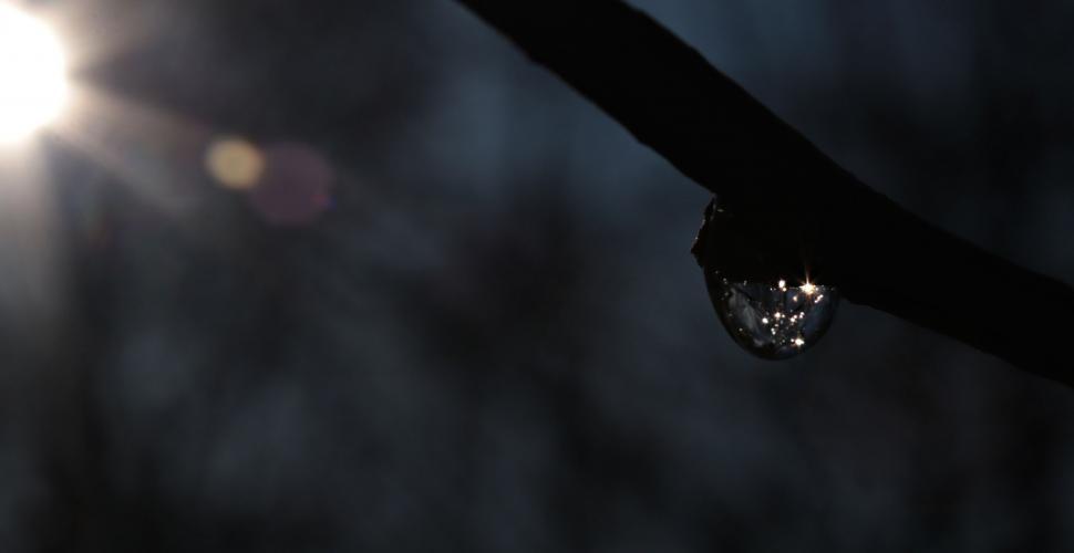 Free Image of Rain Droplet and Sun - Dark View 