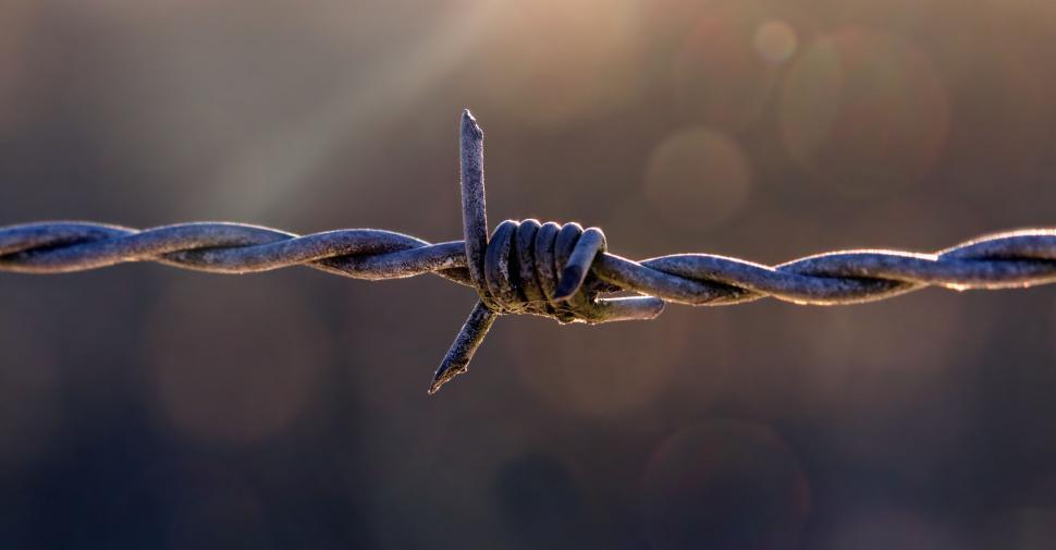 Free Image of Single strand of barbed wire 