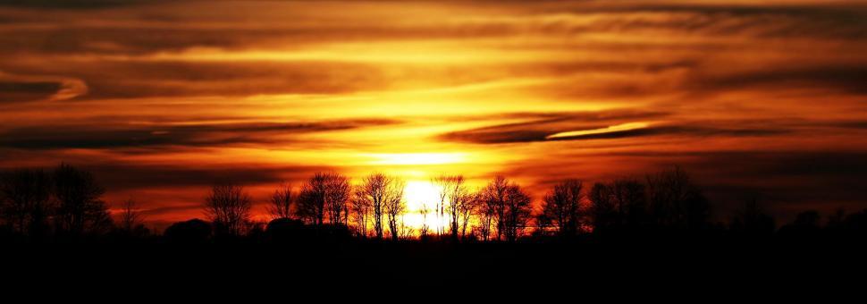 Free Image of Orange Golden Sunset 