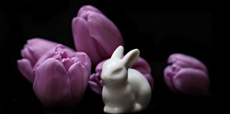 Free Image of Purple Flowers and White Easter Bunny 