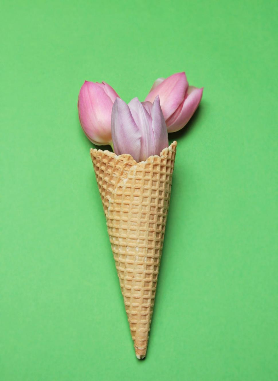Free Image of Waffle cone and flowers 
