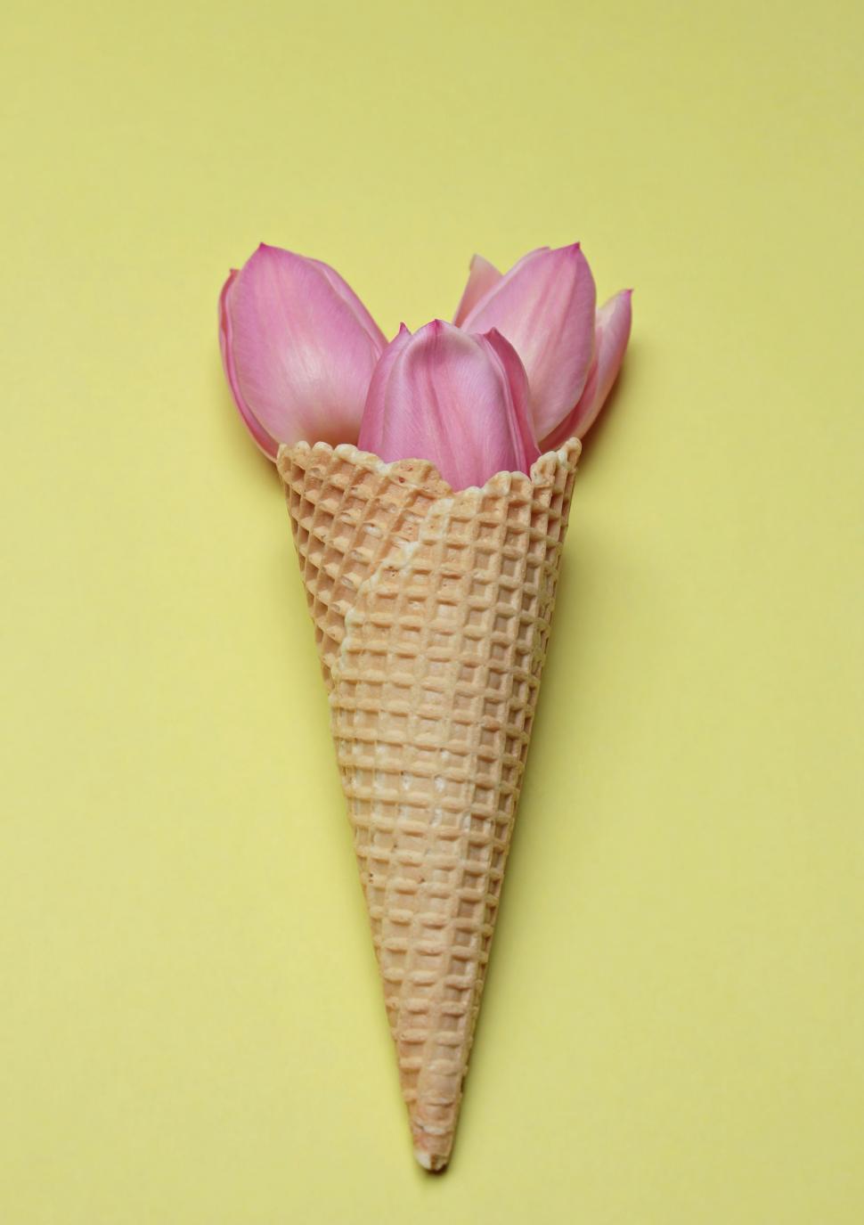 Free Image of Ice cream cone and flowers 