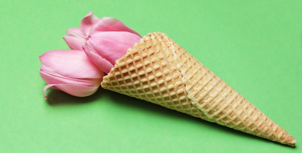 Free Image of Waffle cone and pink flowers 