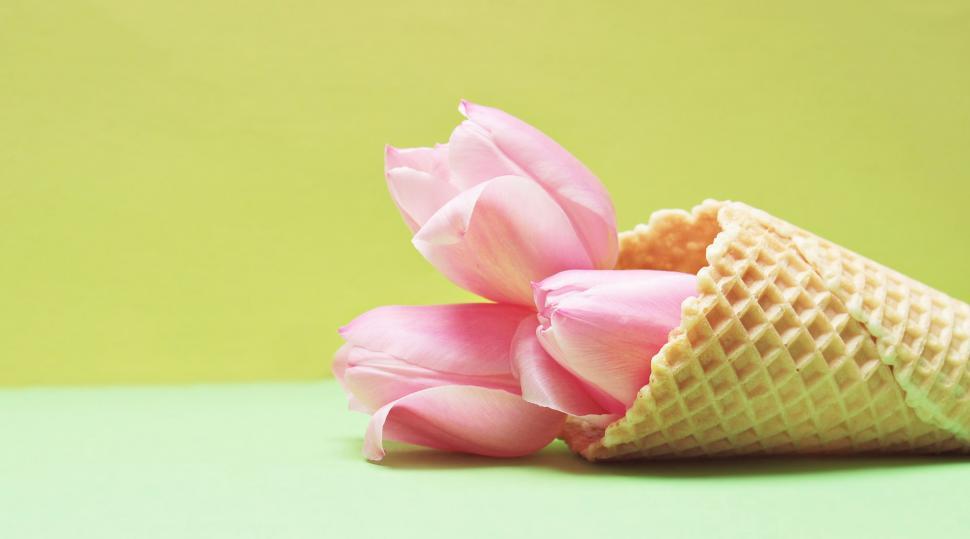 Free Image of Waffle cone and pink flowers 