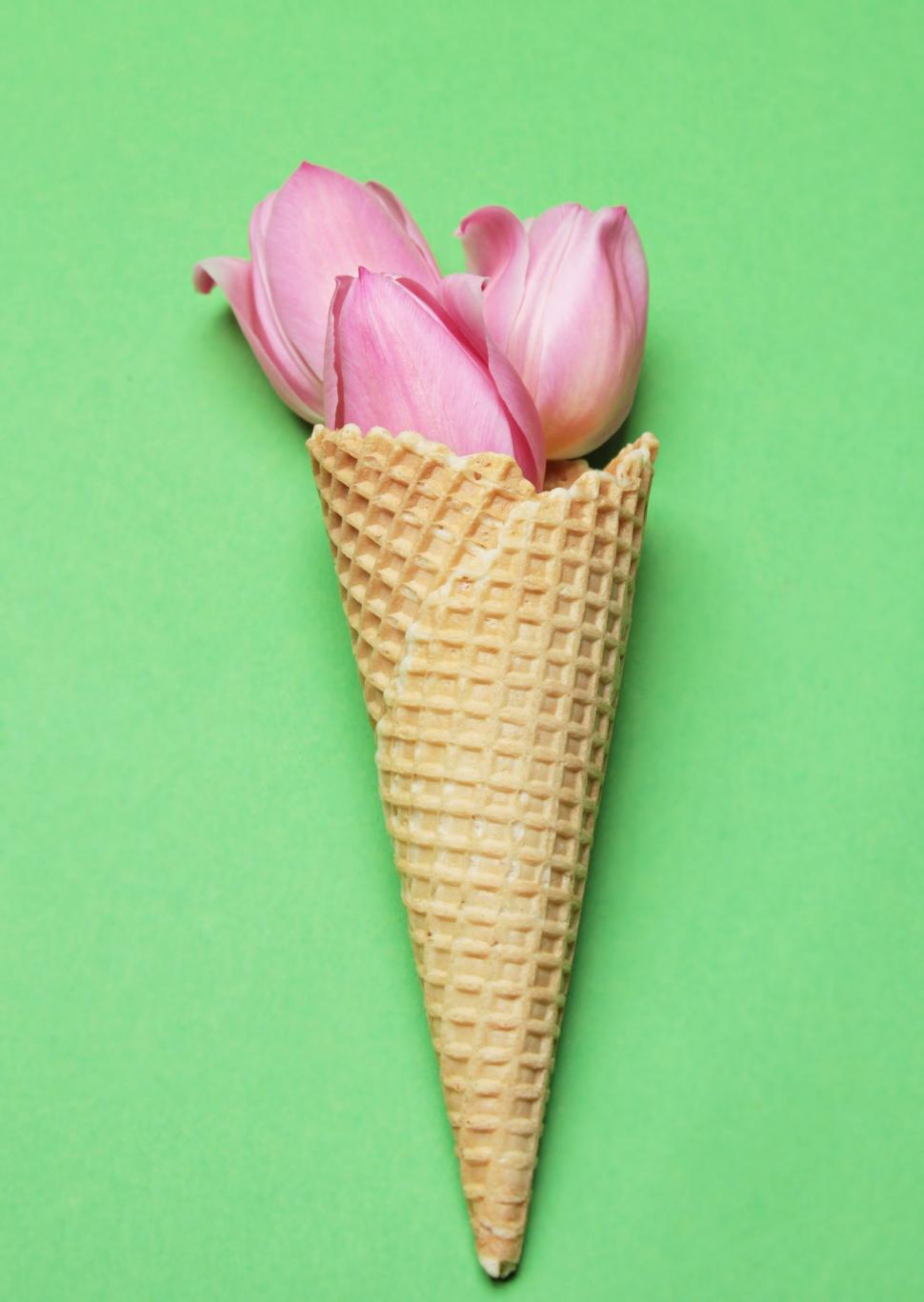 Free Image of Ice cream cone and Tulip Flowers 