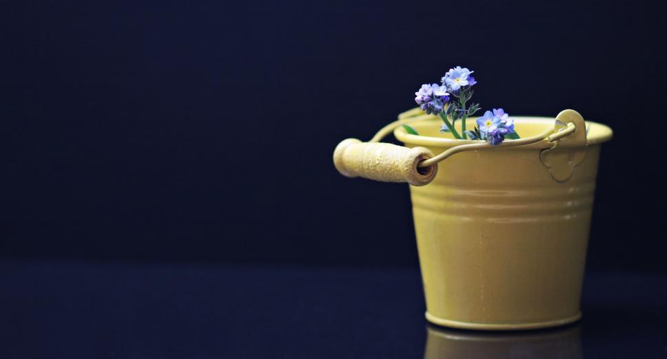 Free Image of Flowers in yellow bucket - copy space 