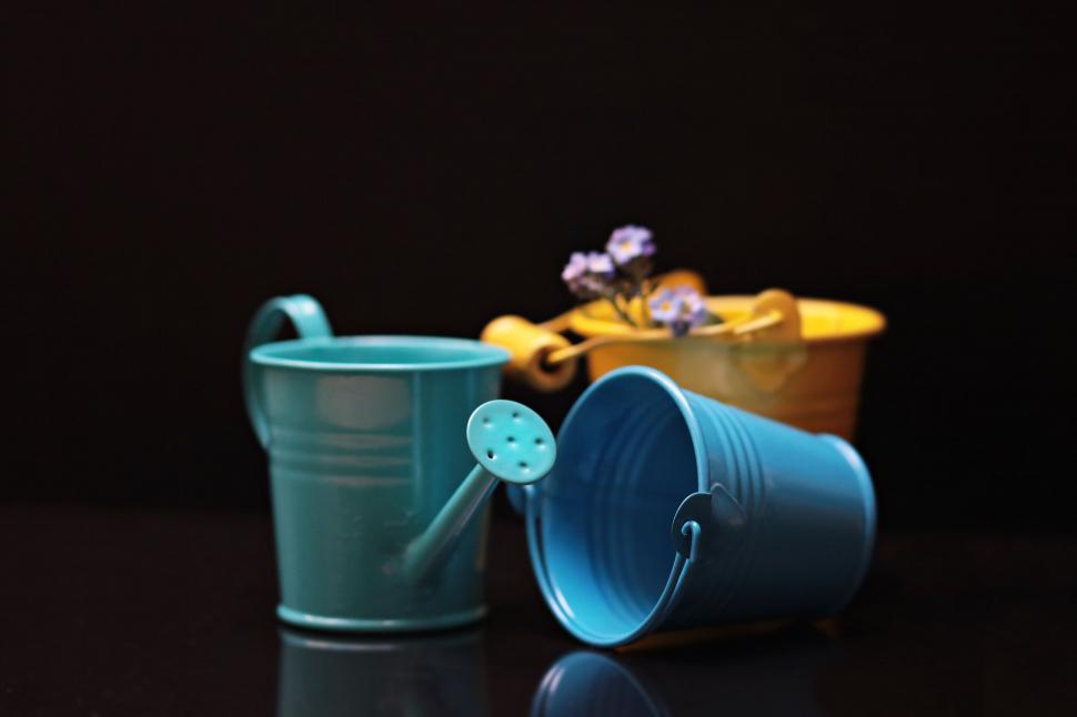 Free Image of Two buckets and watering can with flowers 
