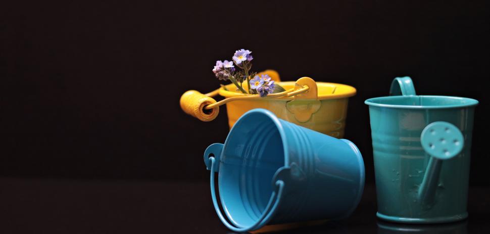 Free Image of Watering can and flowers with two buckets 