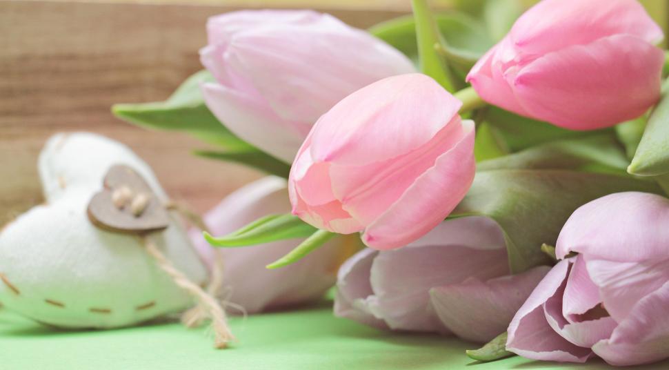 Free Image of Pink Tulips and Heart 
