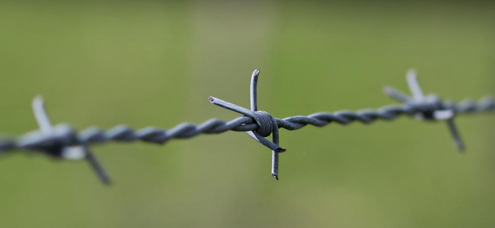 Free Image of Barbed wire 